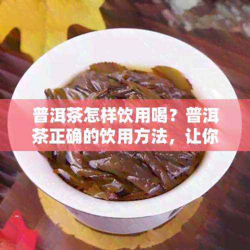 普洱茶怎样饮用喝？普洱茶正确的饮用方法，让你品出它的醇香。