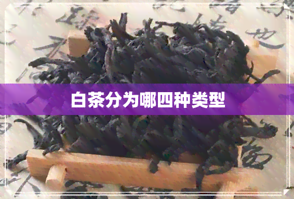 白茶分为哪四种类型