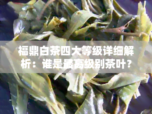 福鼎白茶四大等级详细解析：谁是更高级别茶叶？