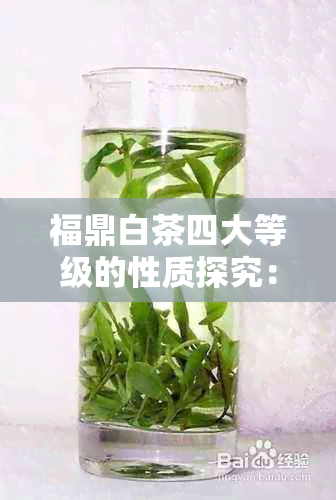 福鼎白茶四大等级的性质探究：是否全部属于寒性？