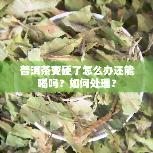 普洱茶变硬了怎么办还能喝吗？如何处理？