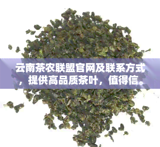 云南茶农联盟官网及联系方式，提供高品质茶叶，值得信。