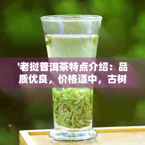 '老挝普洱茶特点介绍：品质优良，价格适中，古树普洱茶多少钱一斤？'