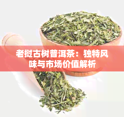 老挝古树普洱茶：独特风味与市场价值解析