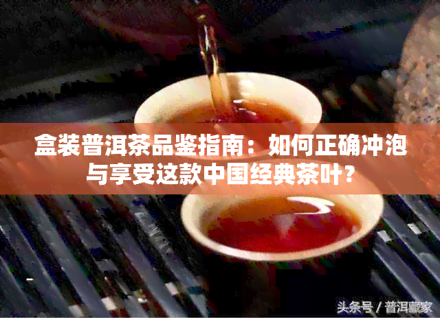 盒装普洱茶品鉴指南：如何正确冲泡与享受这款中国经典茶叶？