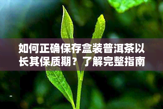 如何正确保存盒装普洱茶以长其保质期？了解完整指南和建议