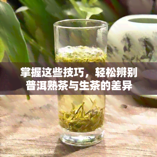 掌握这些技巧，轻松辨别普洱熟茶与生茶的差异