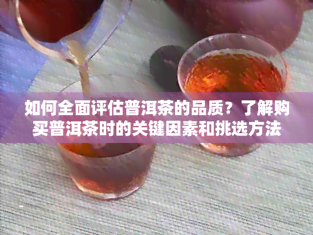 如何全面评估普洱茶的品质？了解购买普洱茶时的关键因素和挑选方法