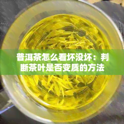 普洱茶怎么看坏没坏：判断茶叶是否变质的方法