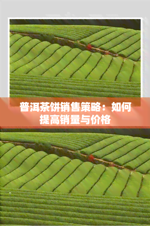 普洱茶饼销售策略：如何提高销量与价格