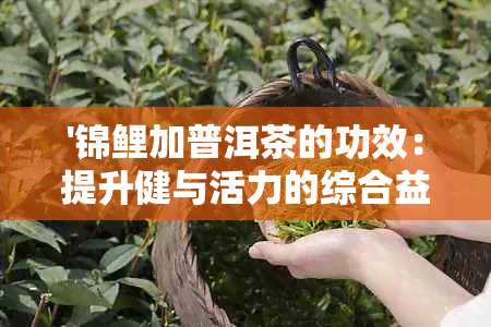 '锦鲤加普洱茶的功效：提升健与活力的综合益处'