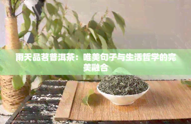 雨天品茗普洱茶：唯美句子与生活哲学的完美融合