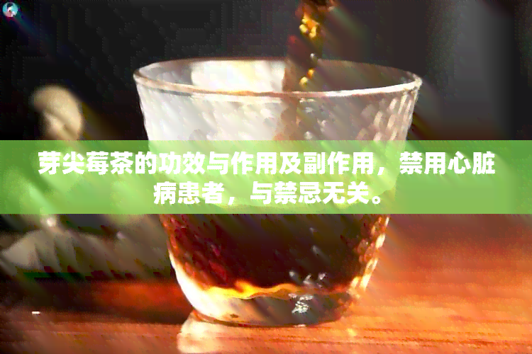 芽尖莓茶的功效与作用及副作用，禁用心脏病患者，与禁忌无关。