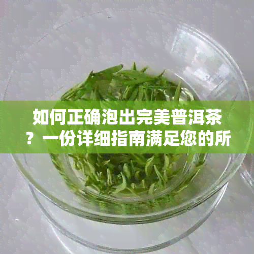 如何正确泡出完美普洱茶？一份详细指南满足您的所有疑问和需求