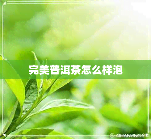 完美普洱茶怎么样泡