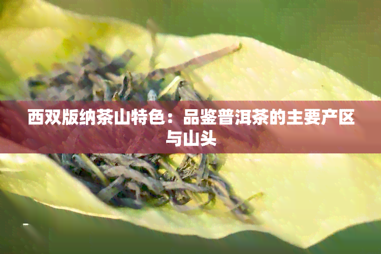 西双版纳茶山特色：品鉴普洱茶的主要产区与山头