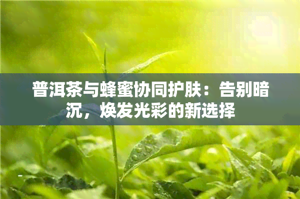 普洱茶与蜂蜜协同护肤：告别暗沉，焕发光彩的新选择