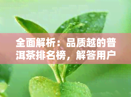 全面解析：品质越的普洱茶排名榜，解答用户所有疑问