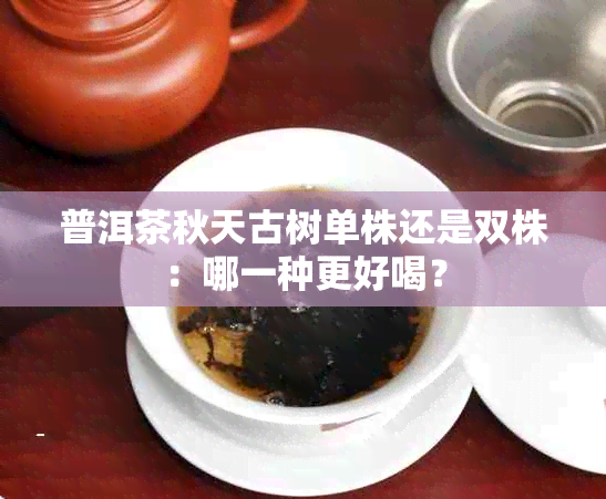 普洱茶秋天古树单株还是双株：哪一种更好喝？