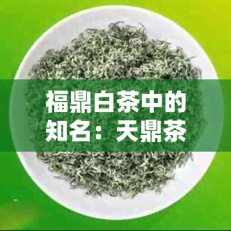 福鼎白茶中的知名：天鼎茶业，品鉴太姥山原产地好茶