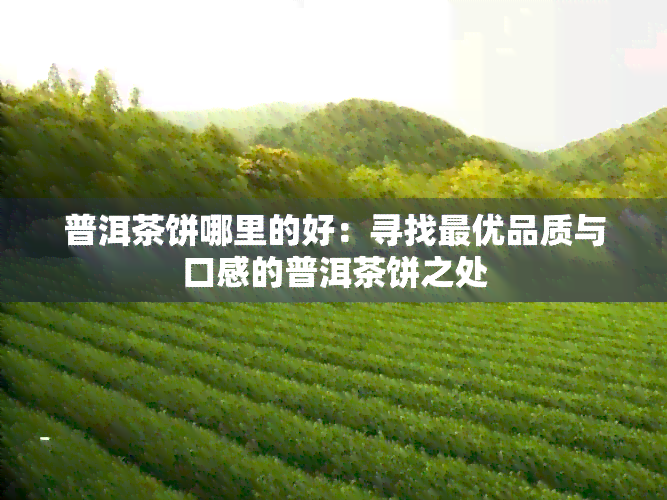 普洱茶饼哪里的好：寻找更优品质与口感的普洱茶饼之处