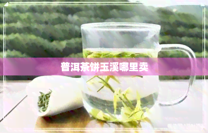 普洱茶饼玉溪哪里卖