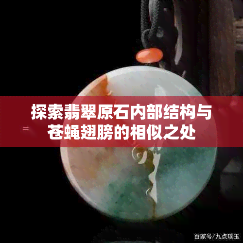 探索翡翠原石内部结构与苍蝇翅膀的相似之处