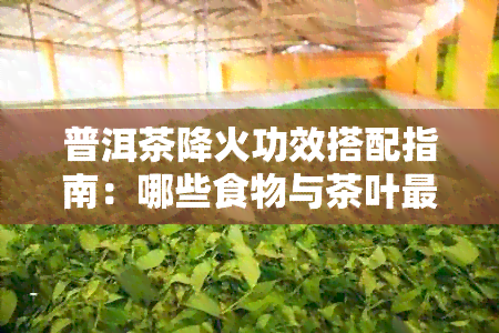 普洱茶降火功效搭配指南：哪些食物与茶叶最相辅相成？