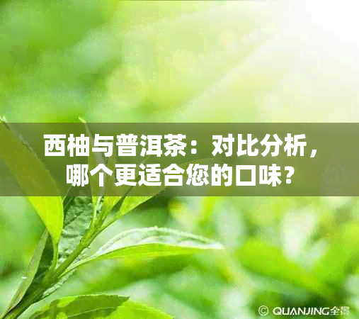 西柚与普洱茶：对比分析，哪个更适合您的口味？