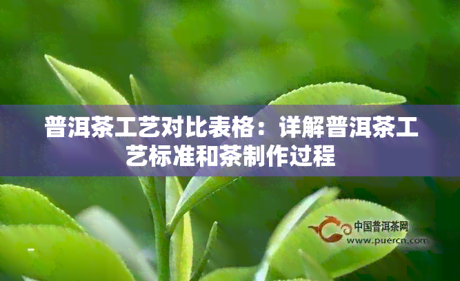 普洱茶工艺对比表格：详解普洱茶工艺标准和茶制作过程