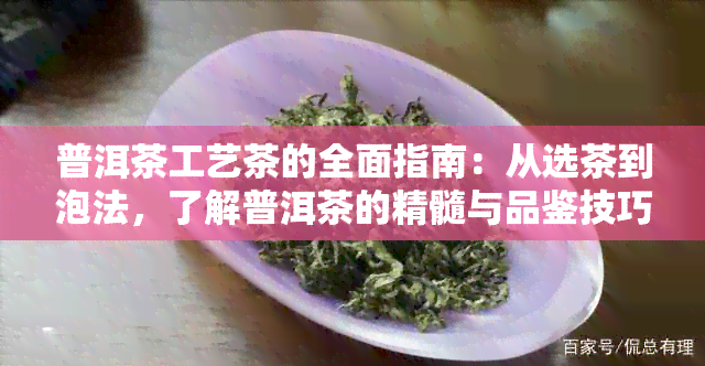 普洱茶工艺茶的全面指南：从选茶到泡法，了解普洱茶的精髓与品鉴技巧