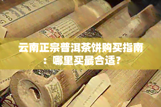 云南正宗普洱茶饼购买指南：哪里买最合适？