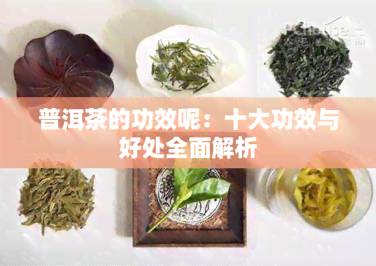 普洱茶的功效呢：十大功效与好处全面解析