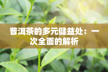 普洱茶的多元健益处：一次全面的解析