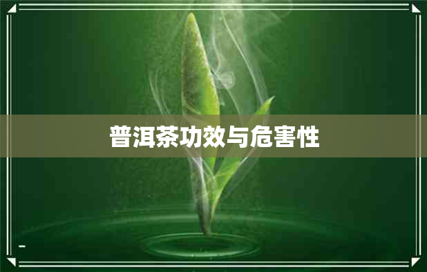 普洱茶功效与危害性