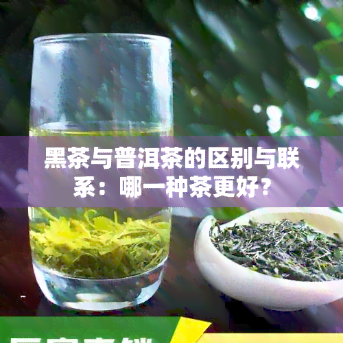 黑茶与普洱茶的区别与联系：哪一种茶更好？