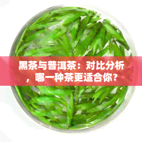 黑茶与普洱茶：对比分析，哪一种茶更适合你？