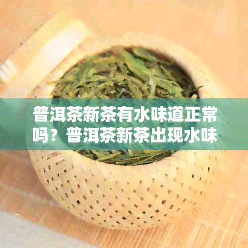 普洱茶新茶有水味道正常吗？普洱茶新茶出现水味道的原因是什么？