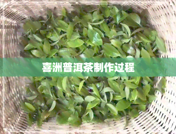 喜洲普洱茶制作过程