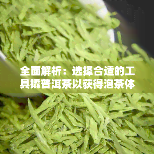 全面解析：选择合适的工具撬普洱茶以获得泡茶体验