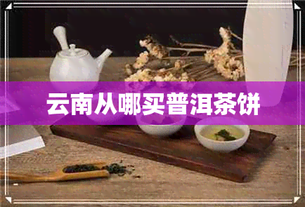 云南从哪买普洱茶饼