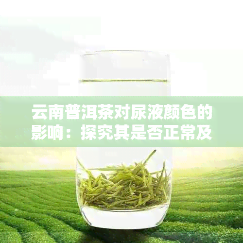 云南普洱茶对尿液颜色的影响：探究其是否正常及如何避免尿液变深