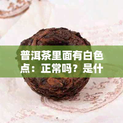 普洱茶里面有白色点：正常吗？是什么？