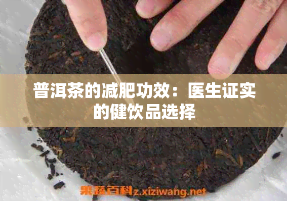 普洱茶的减肥功效：医生证实的健饮品选择