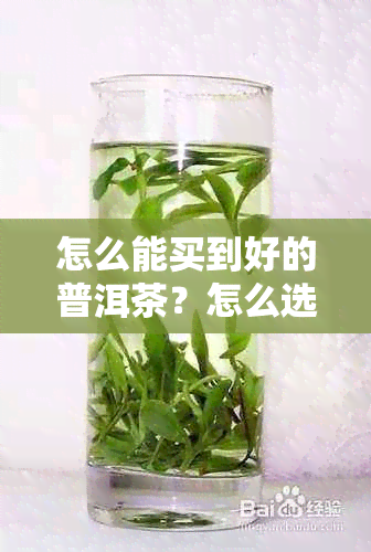 怎么能买到好的普洱茶？怎么选购优质普洱茶叶和生茶？