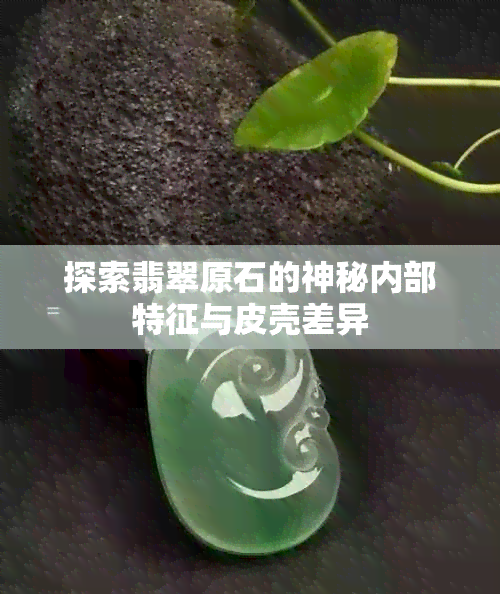 探索翡翠原石的神秘内部特征与皮壳差异