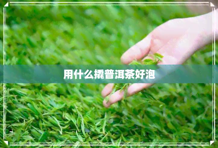 用什么撬普洱茶好泡