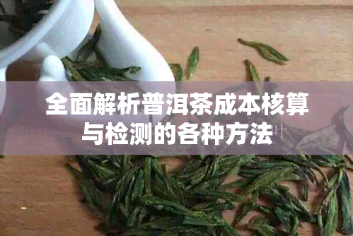 全面解析普洱茶成本核算与检测的各种方法