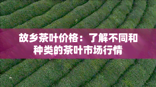 故乡茶叶价格：了解不同和种类的茶叶市场行情