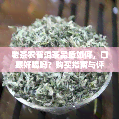 老茶农普洱茶品质如何，口感好喝吗？购买指南与评价